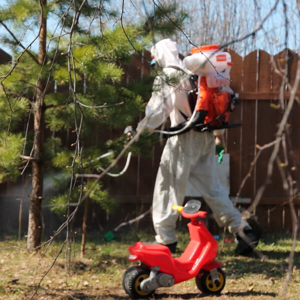 Обработка участка от клещей в Ростове-на-Дону?